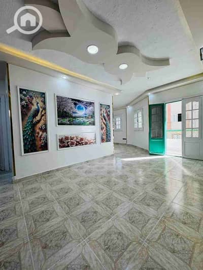 2 Bedroom Flat for Sale in Nakheel, Alexandria - 1000229531. jpg