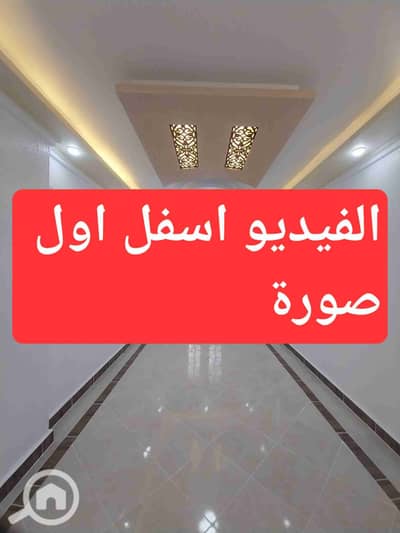 فلیٹ 2 غرفة نوم للبيع في النخيل، الإسكندرية - 1000245446. jpg