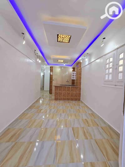 فلیٹ 2 غرفة نوم للبيع في النخيل، الإسكندرية - 1000240257. jpg