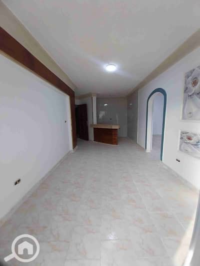 شقة 2 غرفة نوم للبيع في النخيل، الإسكندرية - 1000246666. jpg