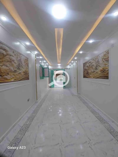 فلیٹ 2 غرفة نوم للبيع في النخيل، الإسكندرية - 1000262467. heic