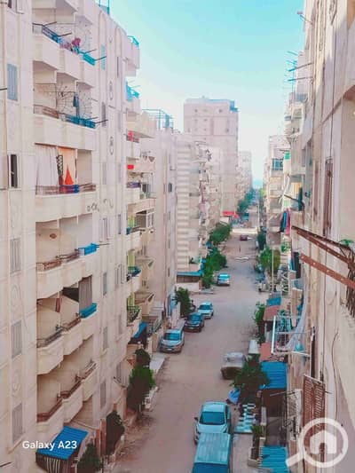 2 Bedroom Flat for Sale in Nakheel, Alexandria - 1000250322. heic