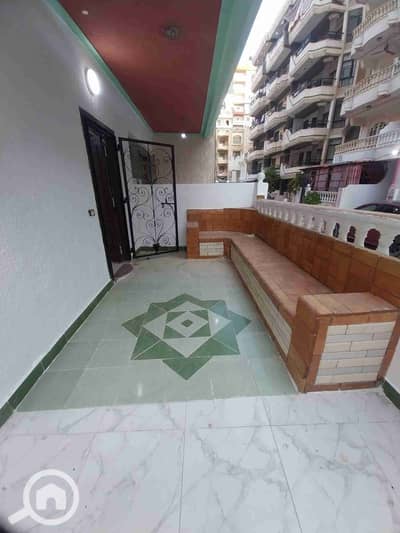 فلیٹ 2 غرفة نوم للبيع في النخيل، الإسكندرية - 1000246243. jpg