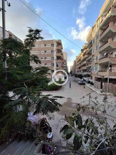 فلیٹ 2 غرفة نوم للبيع في النخيل، الإسكندرية - 1000258086. jpg