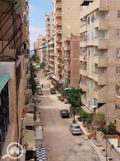 شقة 2 غرفة نوم للبيع في النخيل، الإسكندرية - 1000256849. heic