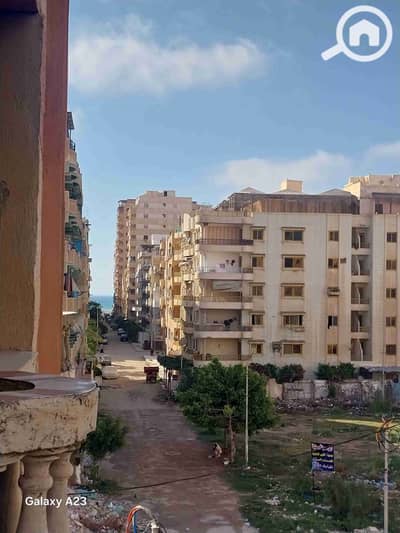 شقة 2 غرفة نوم للبيع في النخيل، الإسكندرية - 1000257024. heic