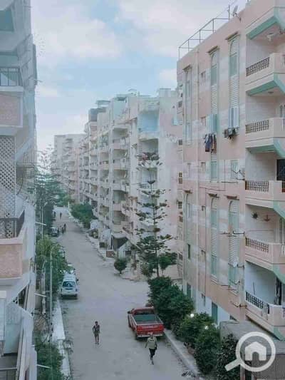 فلیٹ 1 غرفة نوم للبيع في النخيل، الإسكندرية - 1000260740. jpg