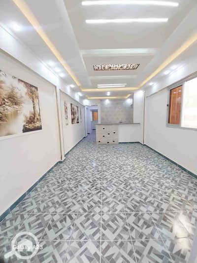 فلیٹ 2 غرفة نوم للبيع في النخيل، الإسكندرية - 1000260911. heic