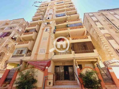 شقة 2 غرفة نوم للبيع في النخيل، الإسكندرية - 1000261372. jpg