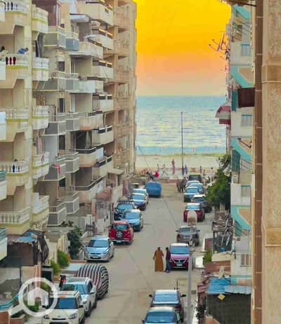 فلیٹ 2 غرفة نوم للبيع في النخيل، الإسكندرية - 1000258712. jpg