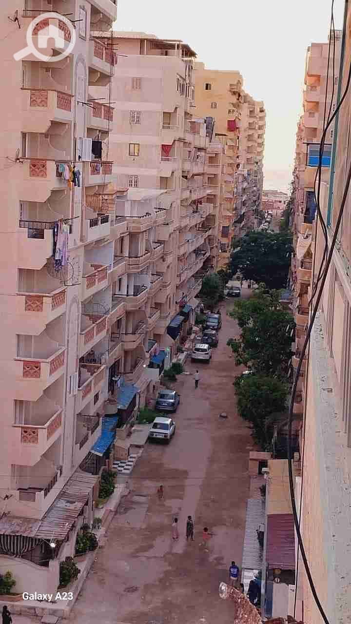 2 1000264381. jpg