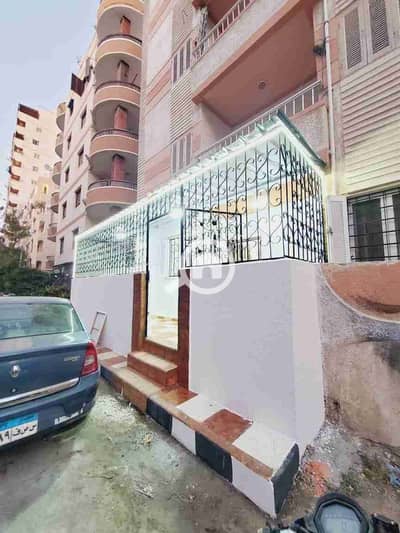 شقة 2 غرفة نوم للبيع في النخيل، الإسكندرية - 1000264558. jpg