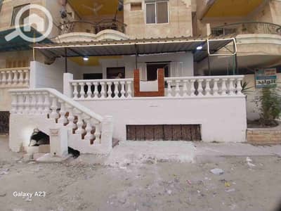 فلیٹ 2 غرفة نوم للبيع في النخيل، الإسكندرية - 1000266363. heic