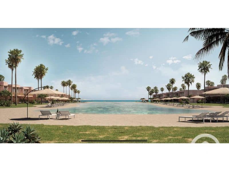 5 sea-shell-playa (1). jpg