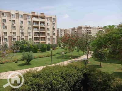 2 Bedroom Flat for Rent in Madinaty, Cairo - 1000196610. jpg