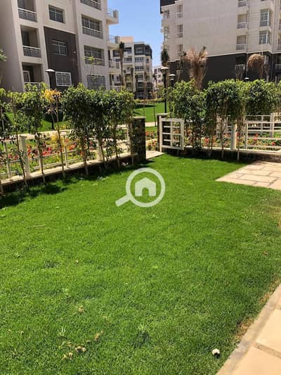 4 Bedroom Apartment for Sale in Madinaty, Cairo - WhatsApp Image 2025-08-04 at 3.44. 30 PM. jpeg
