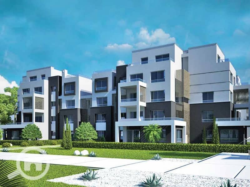 3 palm park 3. jpg