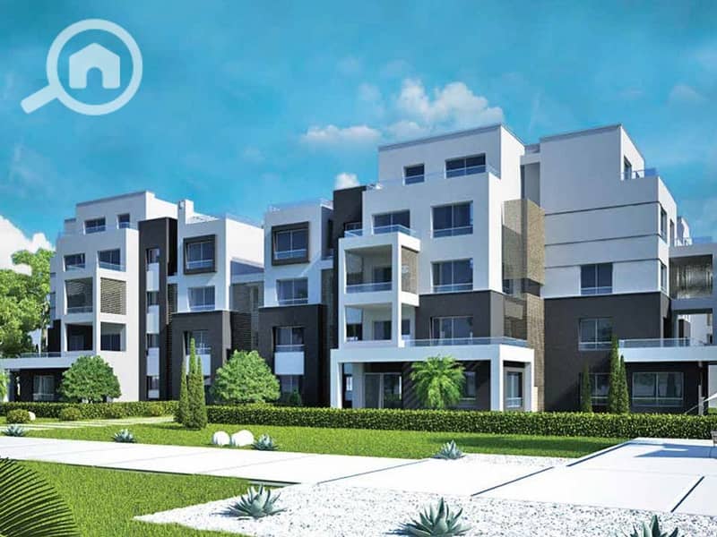 3 palm park 3. jpg