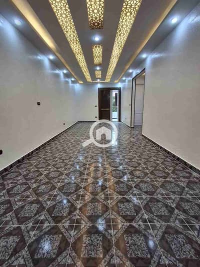 2 Bedroom Apartment for Sale in Nakheel, Alexandria - 1000258138. jpg