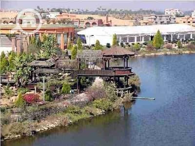 أرض سكنية  للبيع في الشيخ زايد، الجيزة - 1000253468. jpg