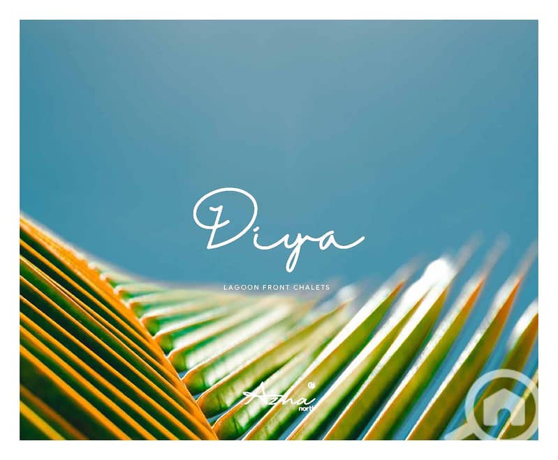 9 Diya - AZHA NORTH_Page_01. jpg