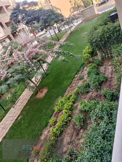 3 Bedroom Flat for Sale in Madinaty, Cairo - WhatsApp Image 2025-07-27 at 14.57. 31_b54abc51. jpg