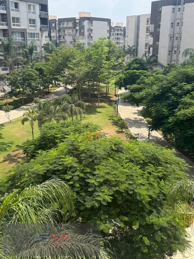 3 Bedroom Flat for Rent in Madinaty, Cairo - WhatsApp Image 2025-08-05 at 19.37. 18_45ba7551. jpg