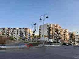 8 IMG_7403. jpg
