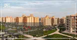 11 IMG_7400. jpg