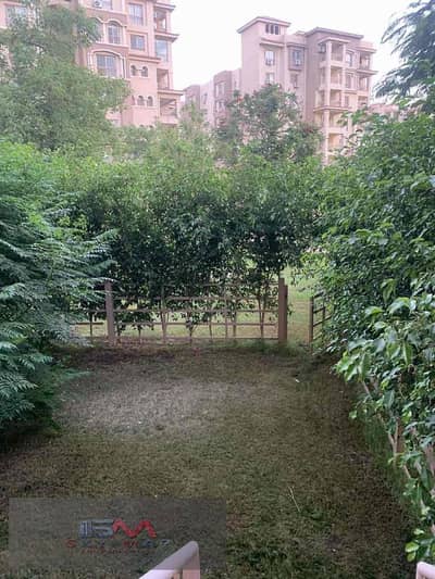 2 Bedroom Apartment for Sale in Madinaty, Cairo - 9fa5f950-9c03-4935-9cf3-cfa54bc3e7a1. jpg