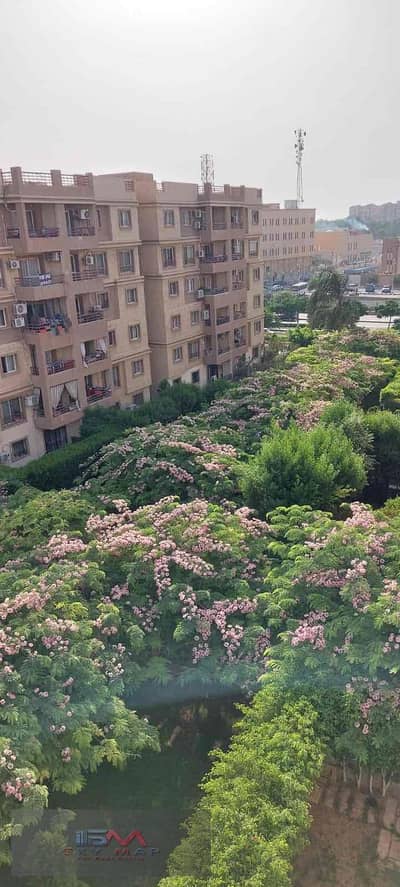شقة 3 غرف نوم للايجار في مدينتي، القاهرة - b01c0b13-837e-4001-8b70-d1be0b5d67f2. jpg