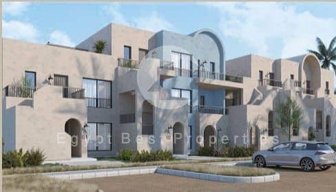 8 kamaran elouna  (8). jpeg