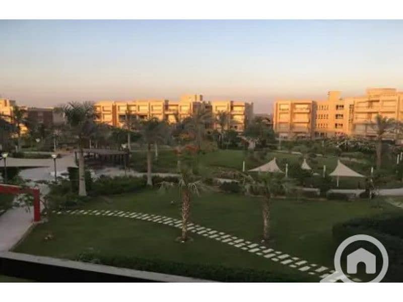 8 New Giza 9. jpg
