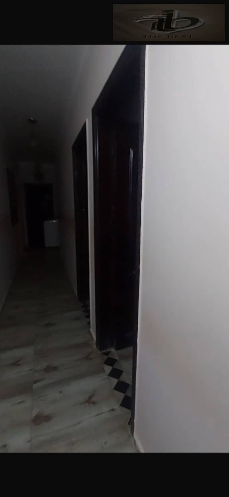 5 IMG_5405. png