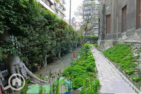 عقارات تجارية اخرى  للايجار في جليم، الإسكندرية - IMG_6133. jpg