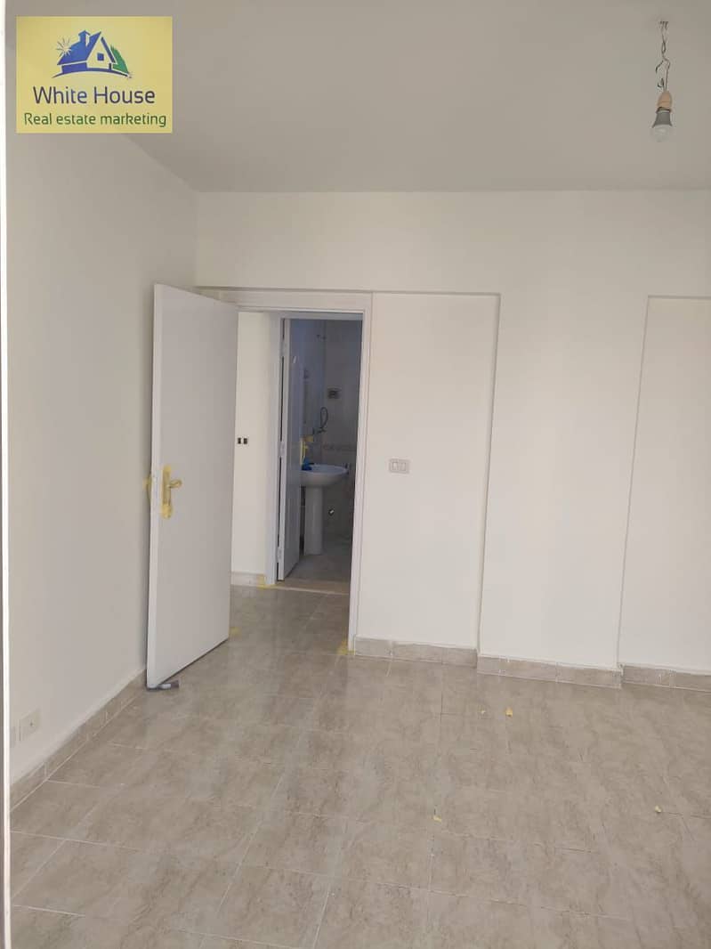 4 33fcd49e-9504-4ce0-b22c-9aab6bd1e6fa. jpg