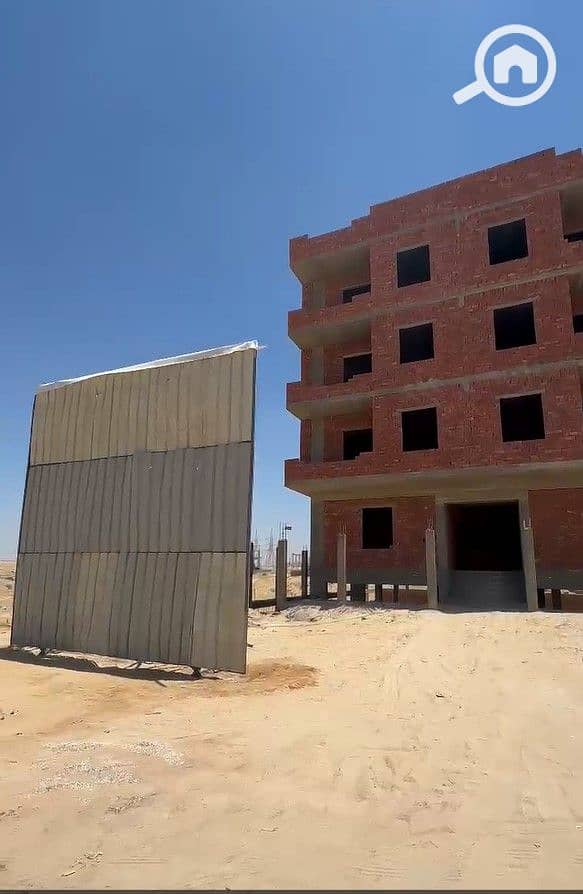 11 3. jpg