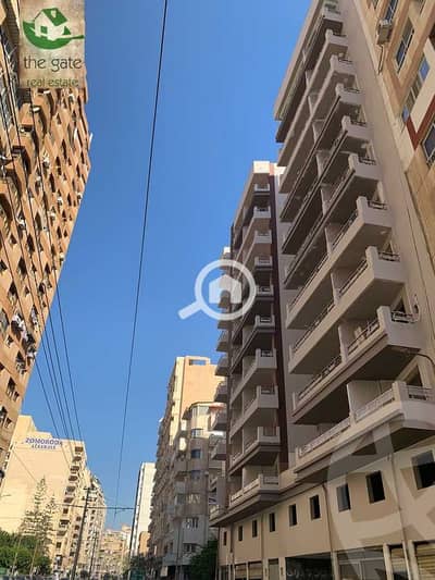 Clinic for Sale in Saba Pasha, Alexandria - 659ceffe816fe840146229. jpeg