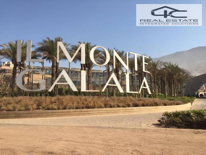 7 monte 8. jpg
