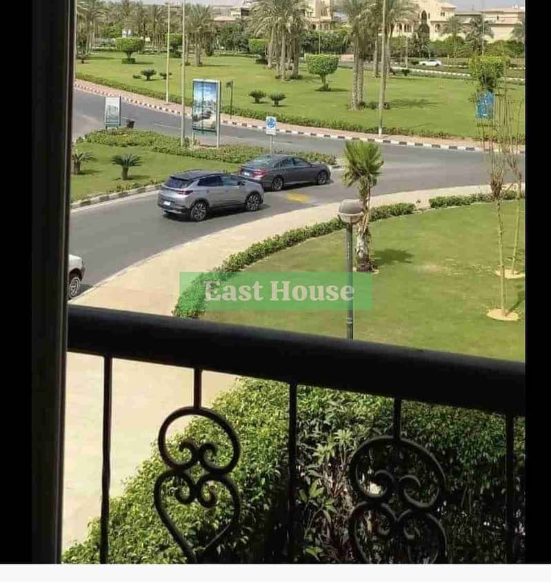 2 1000071659. jpg
