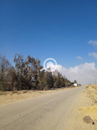 أرض سكنية  للبيع في 6 أكتوبر، الجيزة - 2e090421-0a70-4ebe-a330-a97b2a2e1ea9. jpg