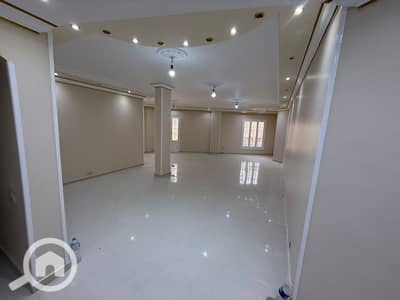 3 Bedroom Flat for Rent in New Cairo, Cairo - d942546a-7e6e-4cca-ac76-dd61f6a49f48. jpg