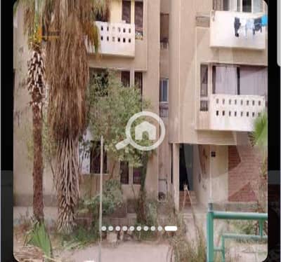 2 Bedroom Apartment for Rent in New Cairo, Cairo - 993d7280-1014-45df-a752-ee3ffaa9169d. jpg