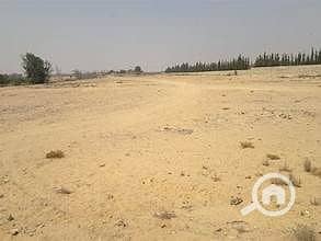 Residential Land for Sale in Badr City, Cairo - OIP. jpeg