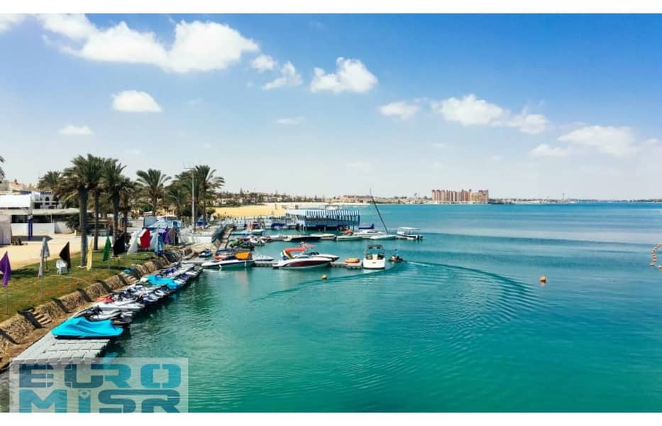 23 العلمين-780x470. jpg