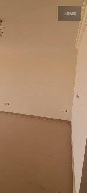 4 02. jpg