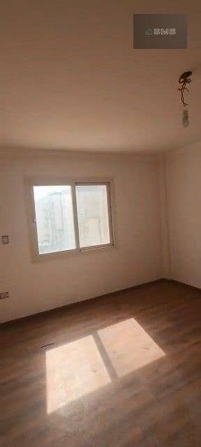 6 005. jpg