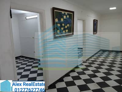 مکتب  للايجار في سموحة، الإسكندرية - WhatsApp Image 2025-08-13 at 8.57. 50 PM (1). jpeg