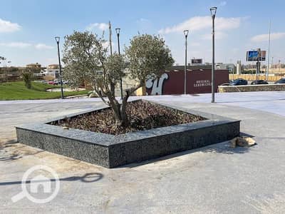 مکتب  للايجار في الشيخ زايد، الجيزة - 2021-10-20 (2). jpg