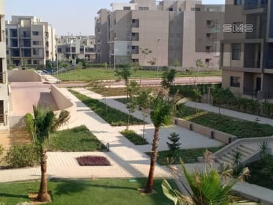 3 Bedroom Apartment for Rent in New Cairo, Cairo - photo_6_2025-08-12_21-17-46. jpg